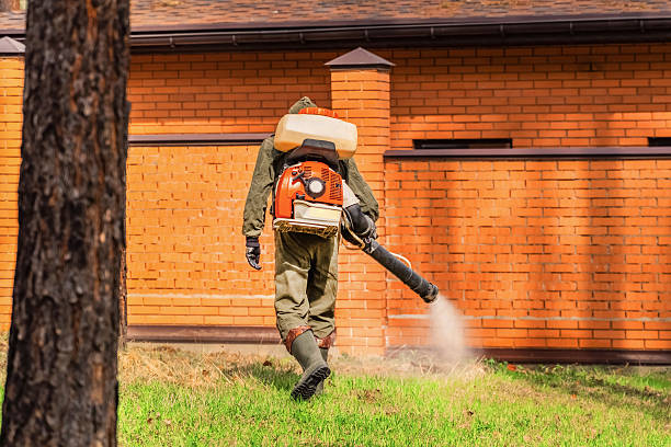 Trusted Mosquito Control service in Kings Point, NY - Nex Pest Control